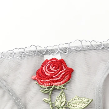 [originalus dizainas] sexy rožė, išsiuvinėta ponios liemenėlė nustatyti skaidrias apatiniai-ultra plonas liemenėlė vasaros