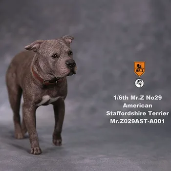 1/6 masto Ponas Z No. 29 Amerikiečių Stafordšyro terjeras Šuo modeliavimas gyvūnų modelio žaislas veiksmų skaičius, lėlės
