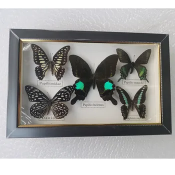 1 rinkinys 5vnt išskirtinį drugelis pavyzdžio foto rėmelis amatų dovana, namų puošybai apdaila namo apdaila