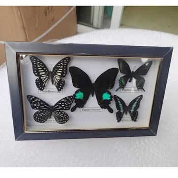 1 rinkinys 5vnt išskirtinį drugelis pavyzdžio foto rėmelis amatų dovana, namų puošybai apdaila namo apdaila