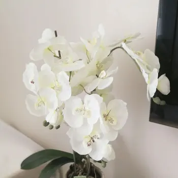 1PC Dirbtinio Šilko Baltas Phalaenopsis Gėlės Aukštos Kokybės Drugelis Drugelis Phalaenopsis Netikrą Gėlių, Vestuvių Namų Puošybai
