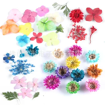 2020New Sumaišykite Džiovintų Gėlių Nagų Papuošimai Papuošalai Natūralių Gėlių Lapų Lipdukai 3D Nagų Dailė Dizaino, lenkų Manikiūro Reikmenys