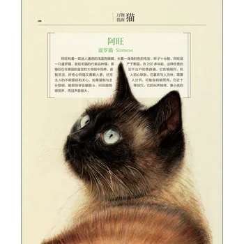 208 Psl Kinijos Spalvotu Pieštuku Gyvūnų Lovely Cat Tapybos Meno Piešimo Pamoka Knyga