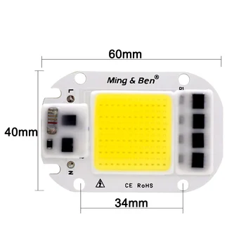 2VNT/Daug šviesos diodu (LED 50W 30W 20W AC110V 220V LED Smart IC Chip nereikia Vairuotojo High Power LED Lemputė Lempos 
