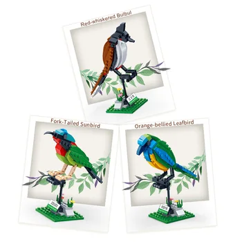 3 stilius surinkti paukščių modelis gyvūnų blokai sužinoti paukščių pažinimo plytų švietimo žaislai, dovanos vaikams