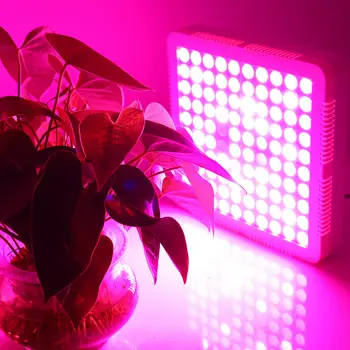 3000W LED Augti Žiburiai, Lempos Skydelis Hydroponic Augalų Auginimo Visą Spektrą, Daržovių, Gėlių Patalpų Augalų Sėklos AC85-265V Juoda/Balta