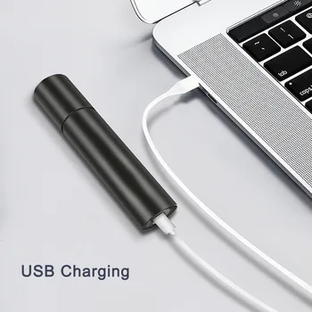 365nm LED UV lempa Nešiojama USB Įkrovimo UV Žibintuvėlis 3W Ultravioletinių Žibintai Su juodais Filtras Objektyvas Pinigų Aptikti