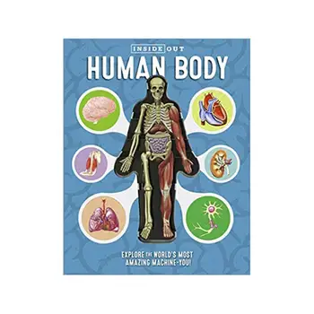 3D vaizdo Žmogaus Kūno Struktūrą, Pripažinimo Anatomijos Mokslas, Vaikų Ankstyvojo Ugdymo Kortelės Knygos