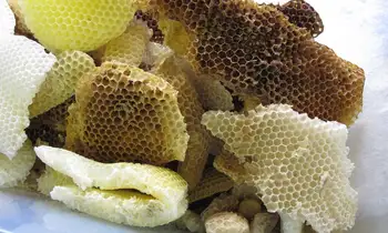 AKARZ Garsaus prekės ženklo, baltasis bičių Vaškas Grynos Natūralios Kosmetikos Klasės, Aukščiausios Kokybės, 