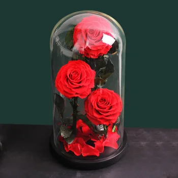 Amžinas Konservuoti Rose su Stiklo Kupolas Grožio ir Žvėrys Nekilnojamojo Gėlių Amžinai Meilės, Vestuvių Naudai Šalis, Dovanos Moterims, Dekoras
