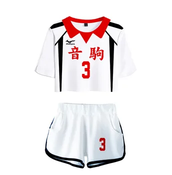 Anime Haikyuu Nekoma vidurinės Mokyklos Uniformą Kuroo Tetsurou/kozumekenma Volley Ball Komanda Jersey, Cosplay Kostiumai, Sportiniai, C42A58