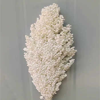 Apie 50cm Natūralių Džiovintų Gėlių Puokštė Sorgas Ausies Namų Kambarį Vestuves Apdailos Konservuoti Smaigalys Fotografavimo Rekvizitai