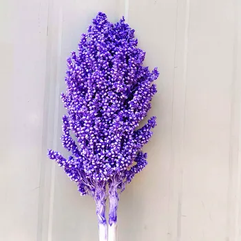 Apie 50cm Natūralių Džiovintų Gėlių Puokštė Sorgas Ausies Namų Kambarį Vestuves Apdailos Konservuoti Smaigalys Fotografavimo Rekvizitai