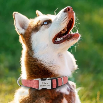 Asmeninį Šunų Antkaklis Nailono Mažylis Apykaklės Reguliuojamas Custom Dog Tag Apykaklės Už Čihuahua Vokiečių Aviganis Pet Products Perros