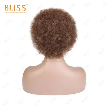 BLISS Afro Keistą garbanotas Perukas Moterys Trumpas Pūkuotas Plaukų Perukai Už juodaodžių Moterų Brazilijos Žmogaus Plaukų Perukas su Kirpčiukais Šalies Cosplay