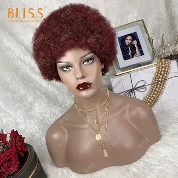 BLISS Afro Keistą garbanotas Perukas Moterys Trumpas Pūkuotas Plaukų Perukai Už juodaodžių Moterų Brazilijos Žmogaus Plaukų Perukas su Kirpčiukais Šalies Cosplay
