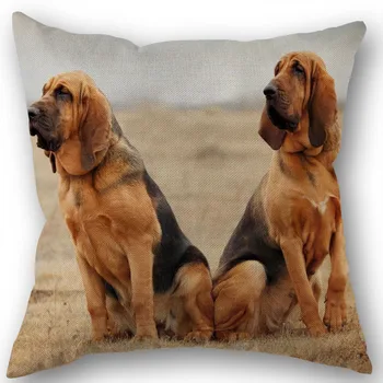 Custom Bloodhound šuo Medvilnės Skalbiniai Aikštėje Užtrauktuku Pagalvės Dangtelis, Skirtas 