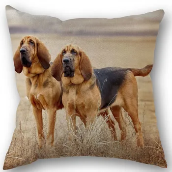 Custom Bloodhound šuo Medvilnės Skalbiniai Aikštėje Užtrauktuku Pagalvės Dangtelis, Skirtas 