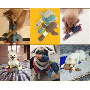 Cypimo šunelis Žaislai Šunims Erelis Formą Gyvūnų Kramtyti Žaislus Pliušinis Interaktyvūs Žaislai Mažiems Šunims Juokingi Pet products 50