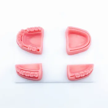 Dantų Tiekimo Modeliavimas burnos žaizdoms modelis su adata Guma siuvimo mokymo mokymo priemonės įgūdžių praktika