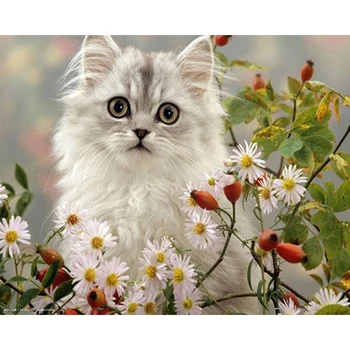 Diamond Tapyba Visą Gręžimo Daisy White Cat Mozaika 