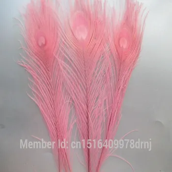 Didmeninė aukštos kokybės 100vnt/daug retų rožinių povo plunksna 25-30 cm / 10-12 colių PASIDARYK pats apdailos