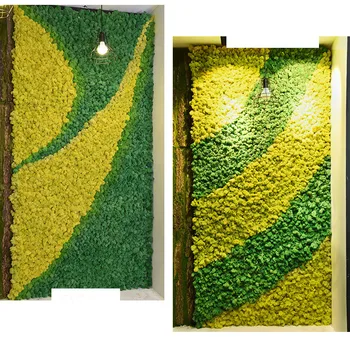 Dirbtinių augalų amžinąjį gyvenimą moss / Sodo namų puošybai sienos 