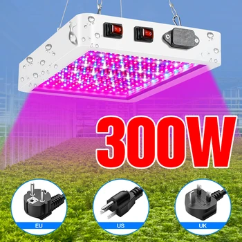 DuuToo Augalų Auga Lempa LED Full spectrum Fito Šviesos 300W 500W Daigų Fito Šviesos diodų (LED) Kambarinė Gėlė Hydroponics Vis Lampada