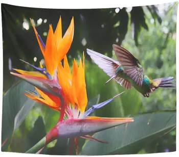 Gobelenas Geltona Trinidadas Plaukioja Hummingbird ne Strelitzia Gėlių, Apelsinų Tobagas Gobelenai Sienos Kabo Gyvenimo Kambario, Miegamasis