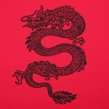 IAMHOTTY Dragon Spausdinti Kinijos Moterims T-Shirt Kontrastas Kratinys ilgomis Rankovėmis Pasėlių Viršuje Harajuku Rudenį Streetwear Nauja, T-Shirt Femme