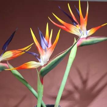 INDIGO - Didelis 90cm Rojaus Paukštis Vitrina Ekranas Nekilnojamojo Touch Silikoninis Dekoratyvinis Dirbtinių Gėlių Atogrąžų Šalis Orchidėja
