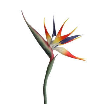 INDIGO - Didelis 90cm Rojaus Paukštis Vitrina Ekranas Nekilnojamojo Touch Silikoninis Dekoratyvinis Dirbtinių Gėlių Atogrąžų Šalis Orchidėja