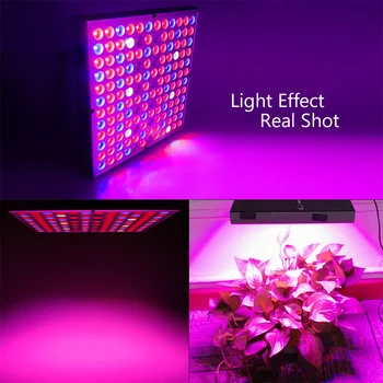 Ir SPINDULIŲ UV LED Grow Light Visą Spektrą Skydelyje Raudona Mėlyna Balta 45W 25W Augimo Lempos Kambarinių Augalų, Gėlių Sėklos Šiltnamio efektą sukeliančių Hydroponic
