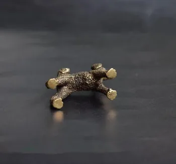 Kolekcionavimas Kinijos Žalvario Raižyti Gyvūnų Zodiako Šuo Taktika Šuo Pudelis Išskirtinį Mažas Statula