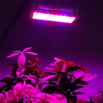 LED Grow Light 300W Fito Lempos Visą Spektrą Augti Lempos, Patalpų Želdinimo Palapinė Šiltnamio efektą sukeliančių Gėlių Fitolamp Augalų Augimo Lempos