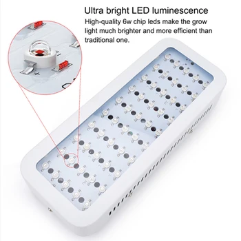 LED Grow Light 300W Fito Lempos Visą Spektrą Augti Lempos, Patalpų Želdinimo Palapinė Šiltnamio efektą sukeliančių Gėlių Fitolamp Augalų Augimo Lempos