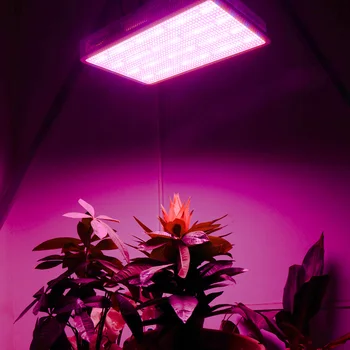 LVJING LED Grow light 1200W Visą Spektrą Augalų fito Led Lempos Patalpų kambarines gėles Vegs Palapinė Akvariumas Hydroponics augti šviesos