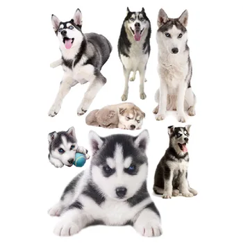 Mielas Šuo 3D Sienų Lipdukai Namų Puošybai Labradoro Šuo Haskis Šuniukas Sienos Lipdukai, Miegamojo Kambarį Meno Tapetai, Lipdukai