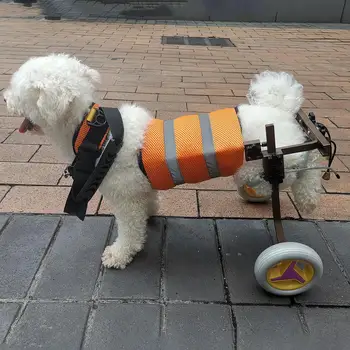 Naminių gyvūnų prekių šuo susisiekimas užpakalinių galūnių paralyžius neįgaliųjų reabilitacijos šuo vaikščioti padeda reguliuojamas vežimėlio pet motoroleris