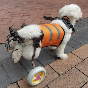 Naminių gyvūnų prekių šuo susisiekimas užpakalinių galūnių paralyžius neįgaliųjų reabilitacijos šuo vaikščioti padeda reguliuojamas vežimėlio pet motoroleris