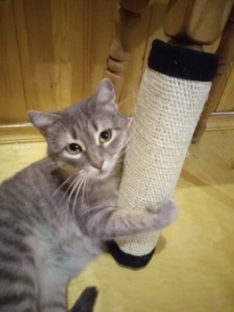 Natūralaus sizalio katė braižymo paštu Kilimėlis žaislas katėms katžolių bokštas laipiojimo medžio Katė Nulio Pad valdybos Apsaugoti baldus Koja