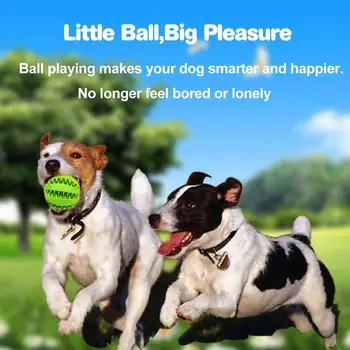Naujai Šuniui Gydyti Apvalus Kamuolys Pet Mokymo BPA-Free netoksiškas Gumos Valyti Dantis, Žaislai