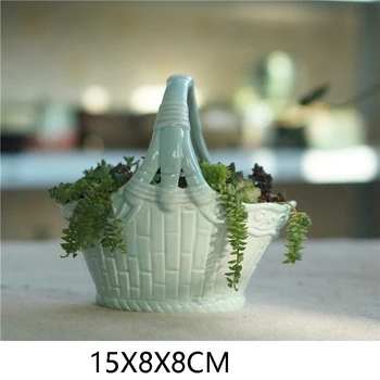Naujų Kūrybinių Sultingi Augalų Puodą Spalvos Jūros Vandens Gėlių Krepšelis Puodą Swan Porceliano Puodą Zakka Namų Puošybai Nėra Augalai