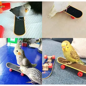 Paukščių Žaislai Papūga Mokymo Rinkinys Mini Sneaker Riedlentė Žvalgybos Mokymo Žiedai Žaislas Papūga Koja Žaislai Paukščių Maitinimosi Partneris