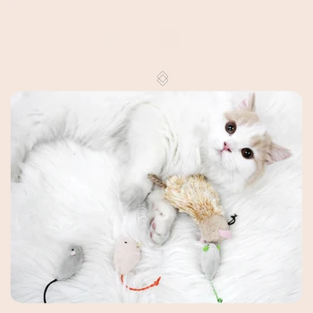 Pet gaminiai katėms Kimštiniai žaislai, katžolių kačiukas kramtymas žaislai pelės žaidimai Visą katėms Įdomių produktų Žaisti struktūra