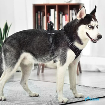 Pet Kamera Nešiojami Šuo Tracker infraraudonųjų SPINDULIŲ Naktinio Matymo Smart Sekimo Prietaisas, Laikymo Vaizdo Žmogaus Pet dvipusis Balso Pet Pasaulio HD Monitorius