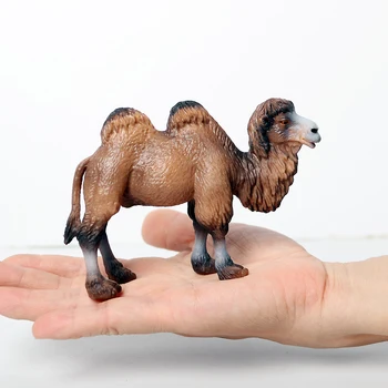 Realus Ranka-Dažytos Gyvūnijos Bactrian Kupranugarių,vieną-humped kupranugaris Žaislas Statulėlės Modelis Zoologijos sodo Gyvūnai Šeimos Nustatyti Švietimo Žaislai