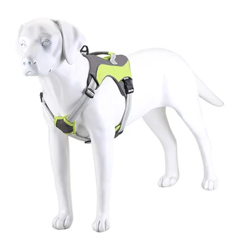 Reguliuojamas šunelis Panaudoti Atspindintis Nailono Ne Traukti Suteikiama Mažas Vidutinis Didelis Šuo Panaudoti vaikščioti Saugos Patogus Šunį Vest