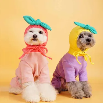 Rudenį ir žiemą naujas šiltas šunelis vaisių gobtuvu keturkojo medvilnės Teddy Bichon mažų šunų megztinis drabužiai