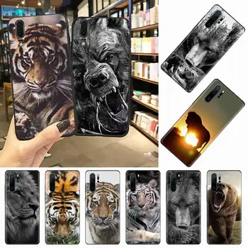 Rusijos meška, tigras, liūtas Telefoną Atveju 